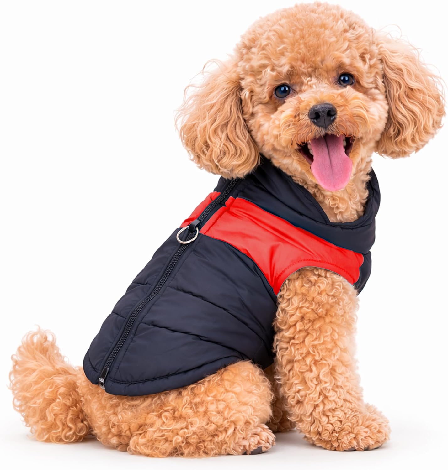 Dog Weatherproof All Weather Winter Coat, Blue/Black Solid Thermal Cotton Vest, Warm Harness Jacket, Lightweight Portable Cold Wet Weather Dog Apparel for Small Medium Dogs