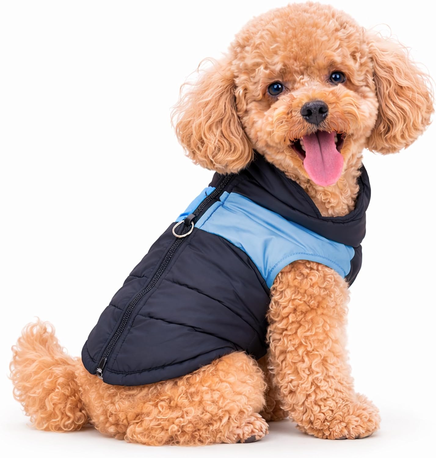 Dog Weatherproof All Weather Winter Coat, Blue/Black Solid Thermal Cotton Vest, Warm Harness Jacket, Lightweight Portable Cold Wet Weather Dog Apparel for Small Medium Dogs